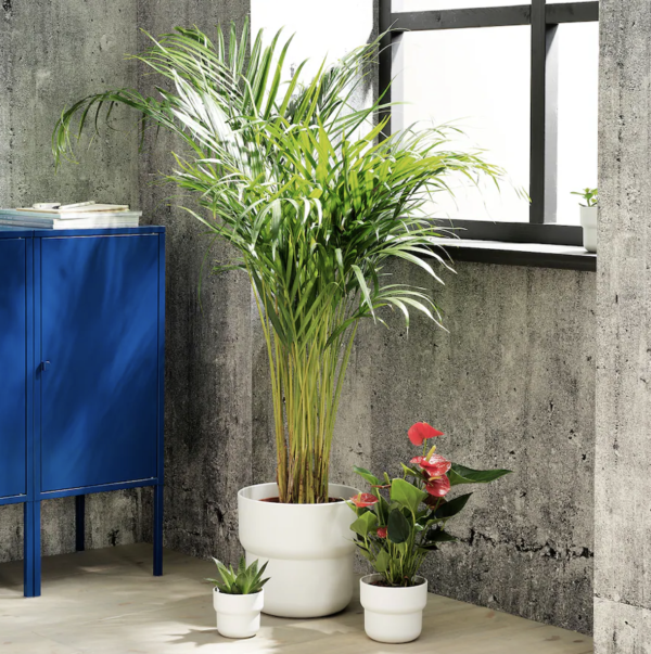 NORDLIG Minimalist Plant Pot – White - Image 4