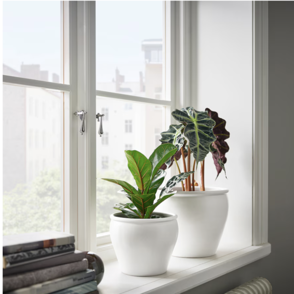 Elegant White Ceramic Pot for Mini Plants - Image 2