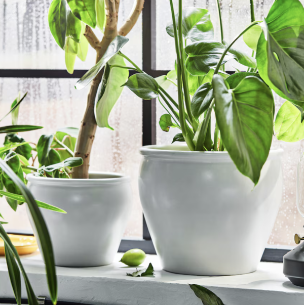 Elegant White Ceramic Pot for Mini Plants - Image 4