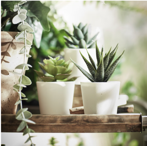 FEJKA Artificial Potted Plant + Pot – Indoor/Outdoor Use, Succulent - Image 2